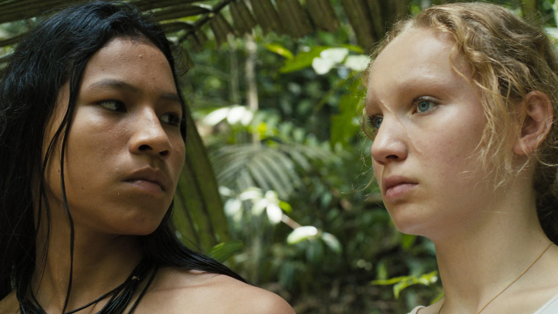 transamazonia