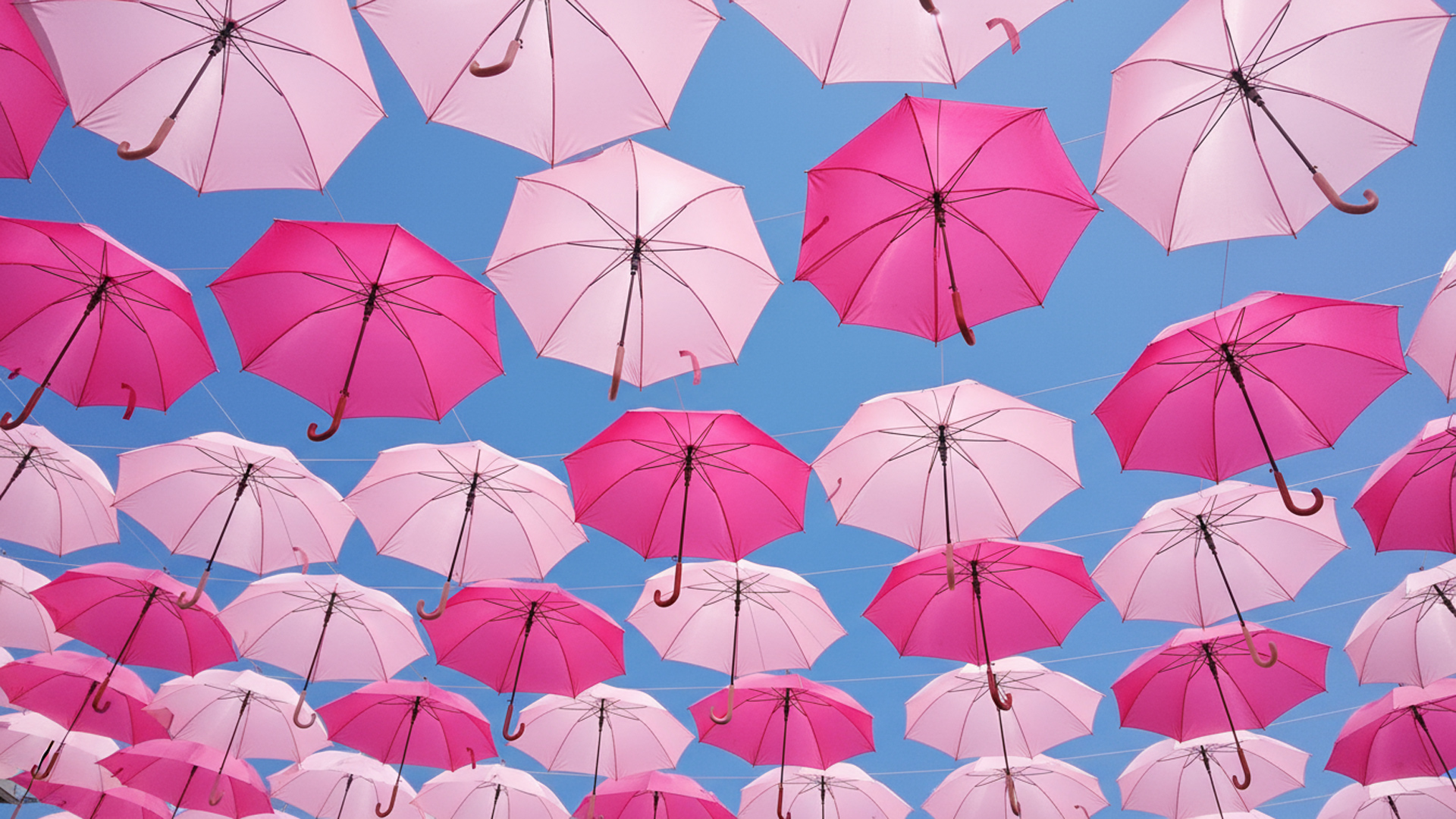 Pink Future – Hoffnungsvoll und utopisch!