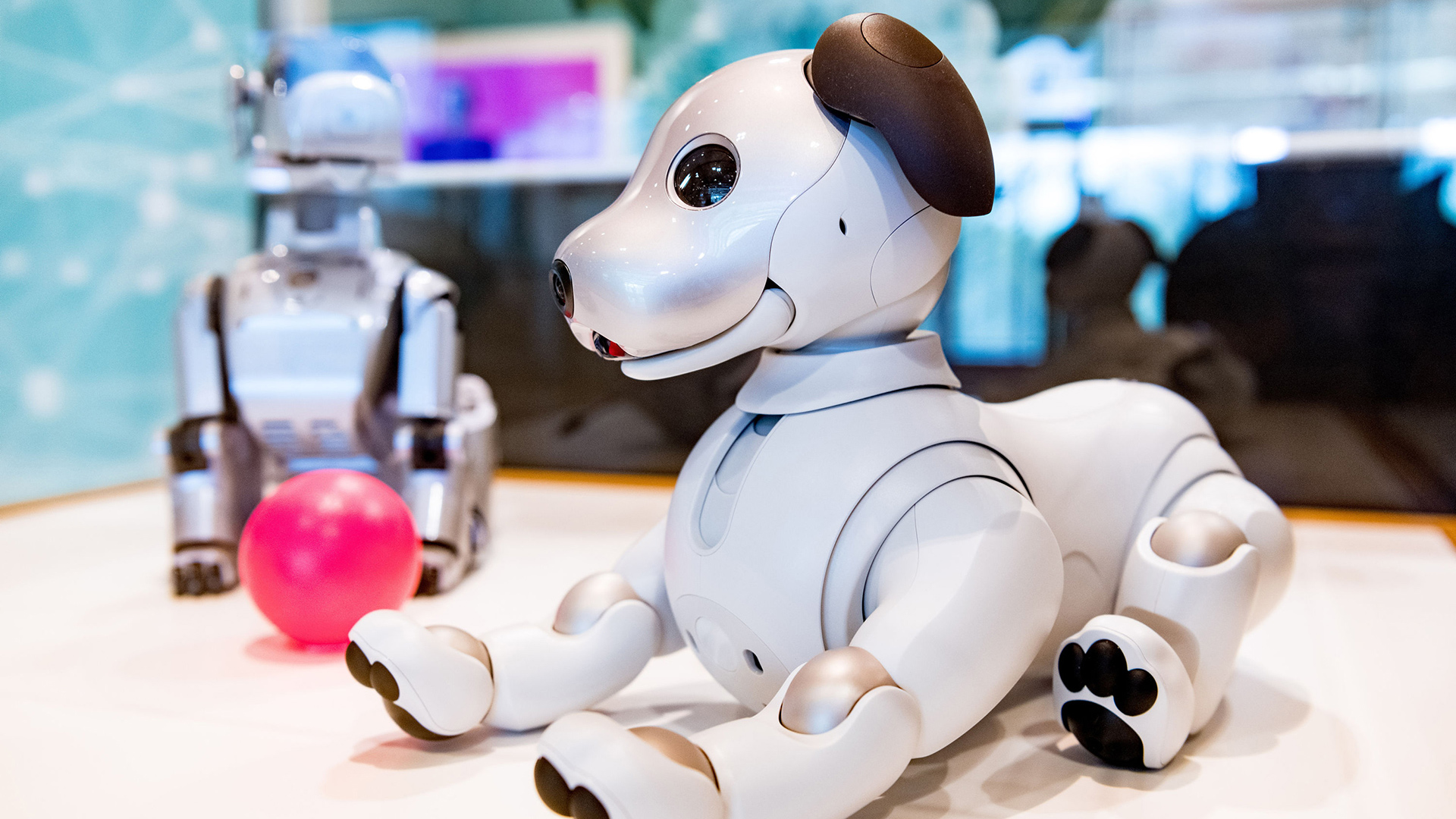 hnf-aibo